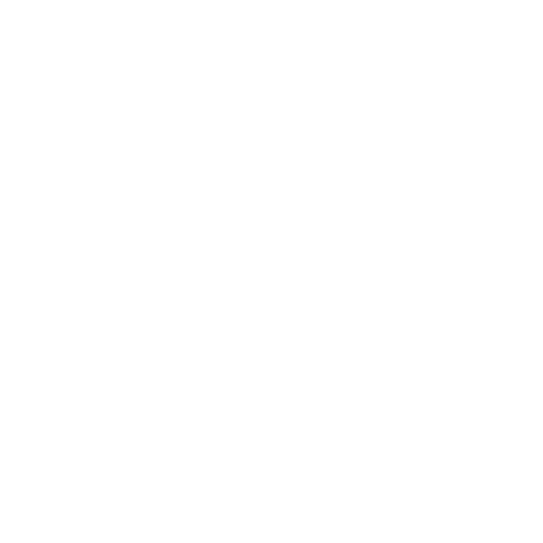 Erenion Media Logo